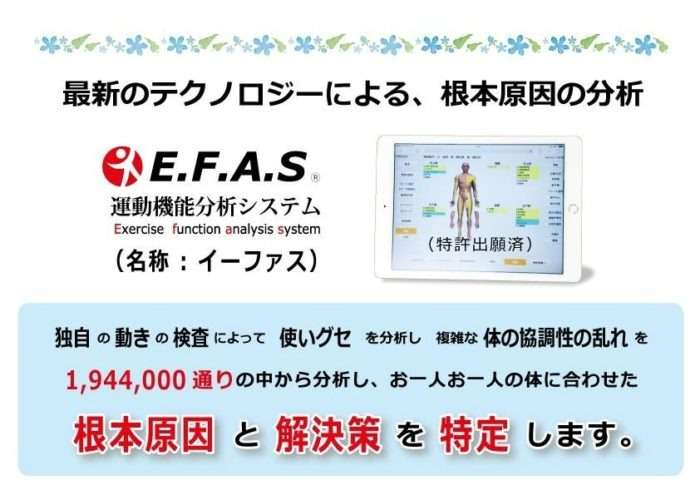 【最先端運動機能分析システム】　E.F.A.S　イーファス