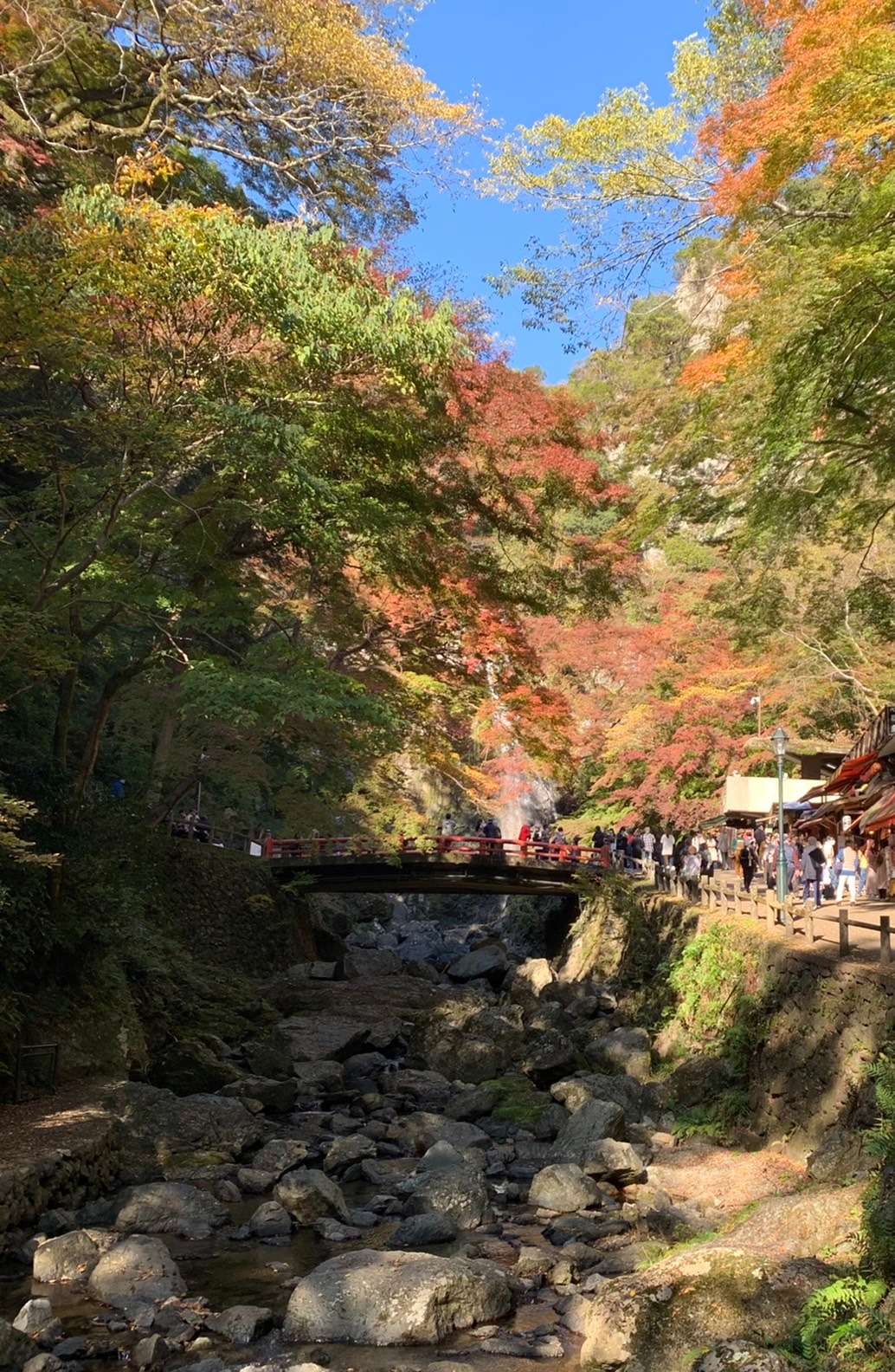 【紅葉】秋の箕面といえばやっぱり滝ですね♪